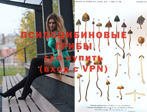 MDMA Premium VHQ Беломорск