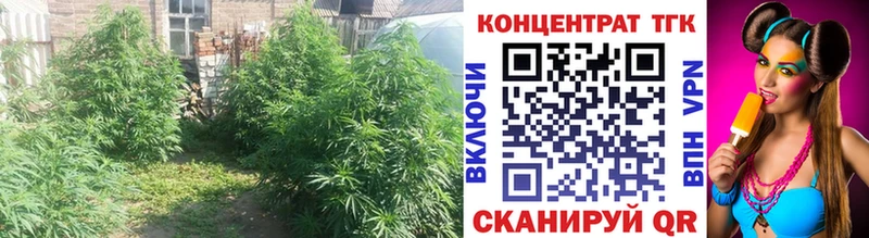 Дистиллят ТГК жижа  Севск 