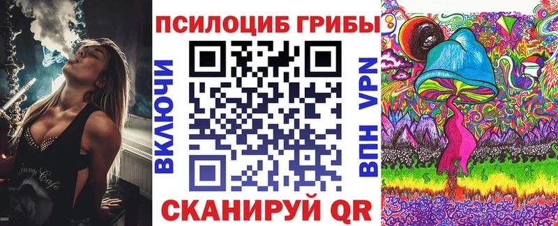 blacksprut ссылки  Севск  Галлюциногенные грибы Cubensis 